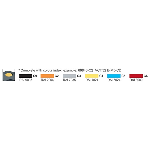 Stainless Steel Threaded Stud, With Cap, VCT.63-SST-p-M12x30-C3